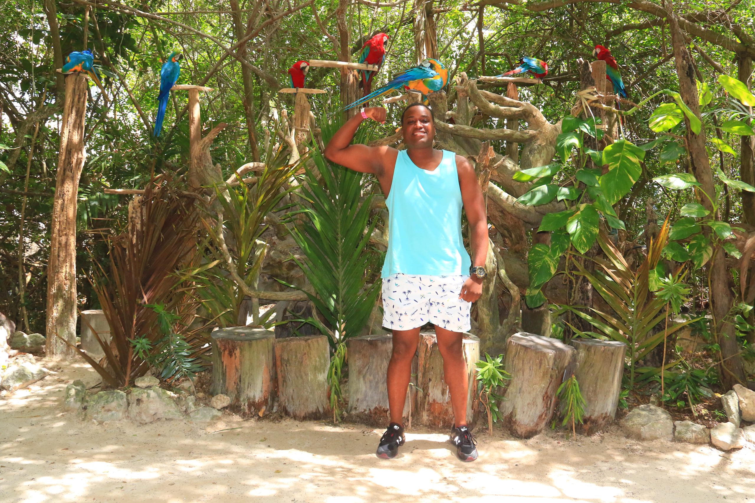Sitio de excursiones y reservas para Caribbean Punta Cana RD